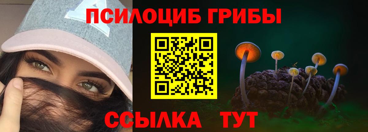 Галлюциногенные грибы Psilocybine cubensis  Псилоцибиновые грибы GOLDEN TEACHER  Вход с VPN  Псков 